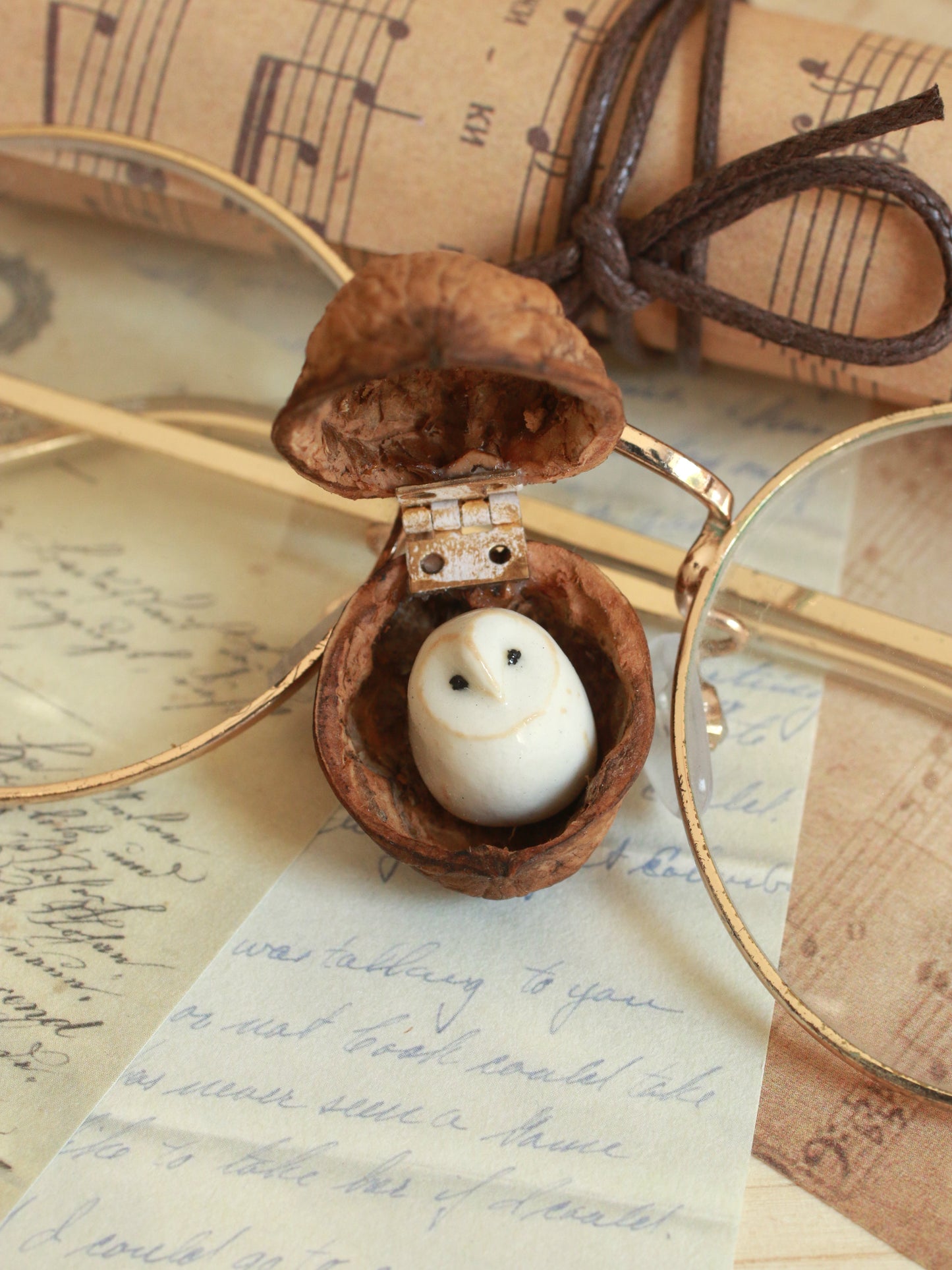 Baby barn owl in a walnut box