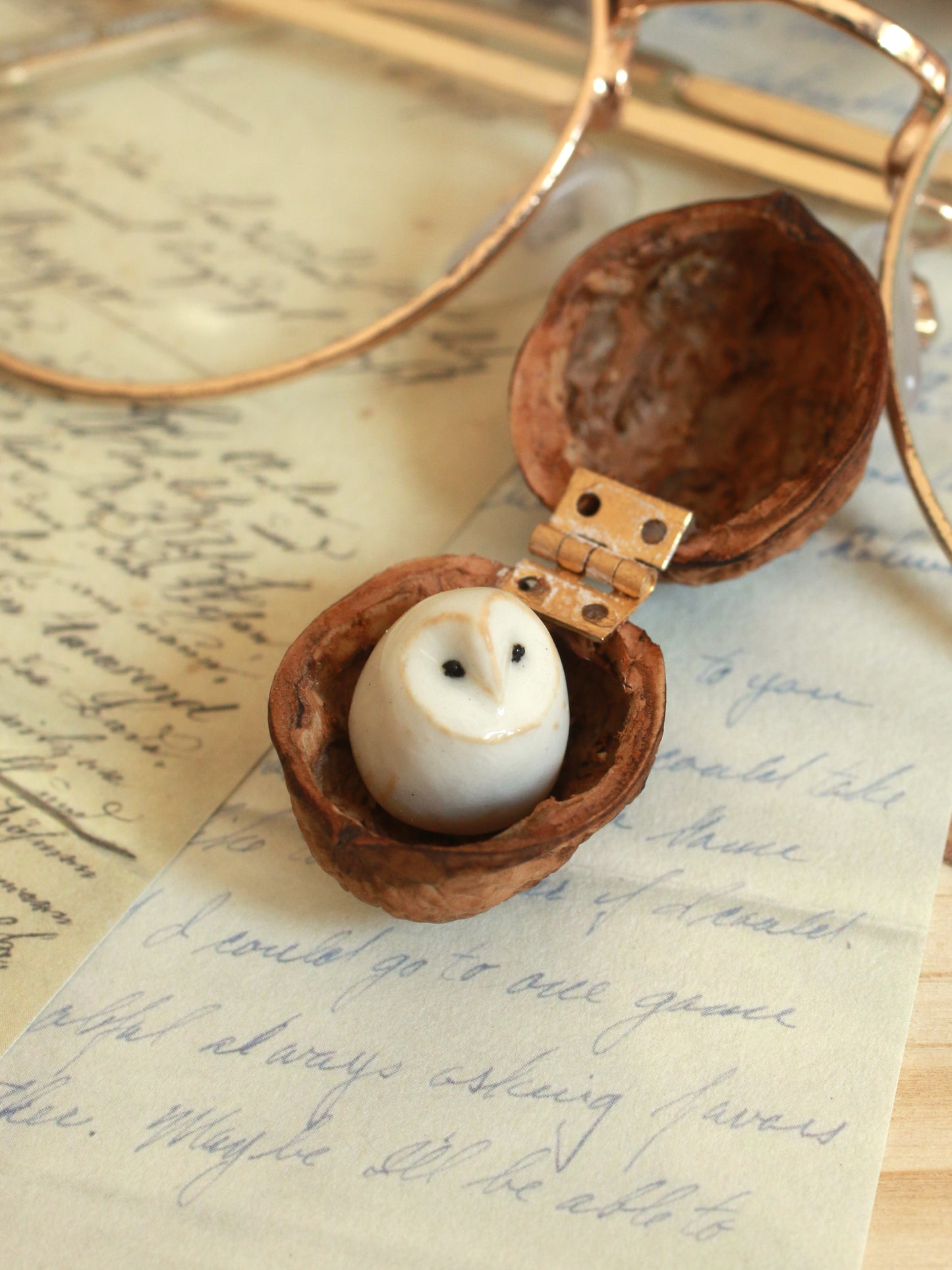 Baby barn owl in a walnut box