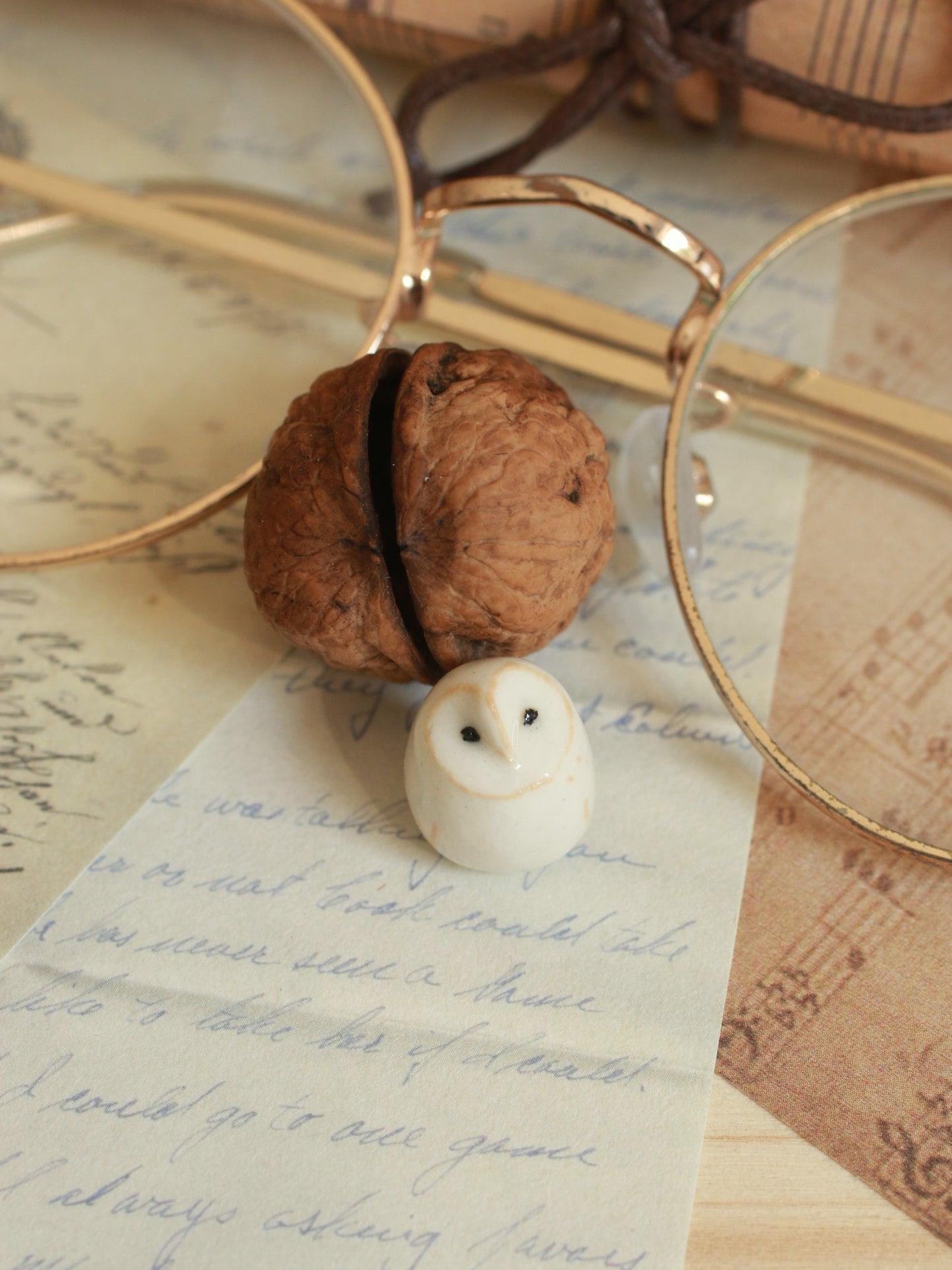 Baby barn owl in a walnut box