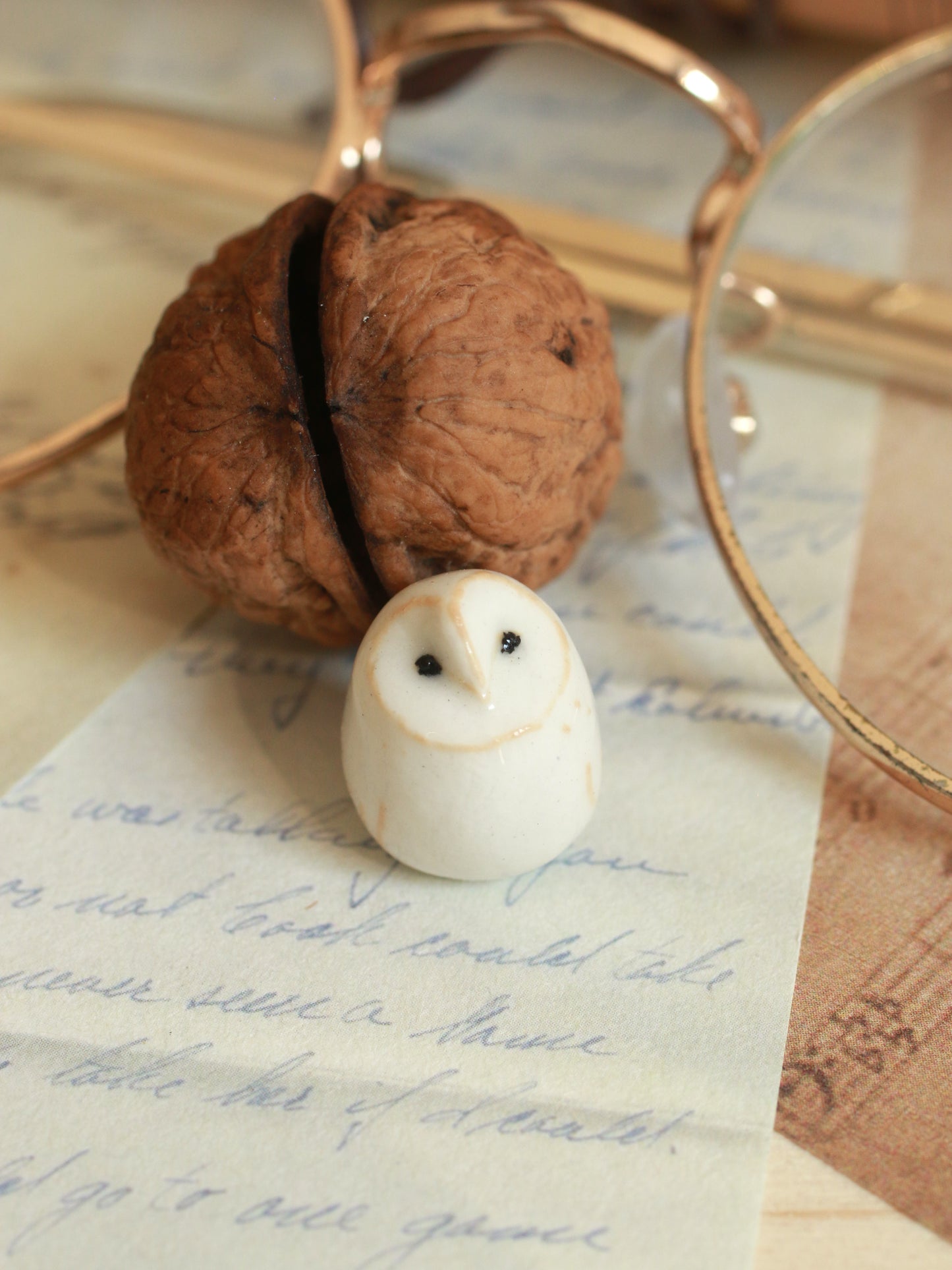 Baby barn owl in a walnut box