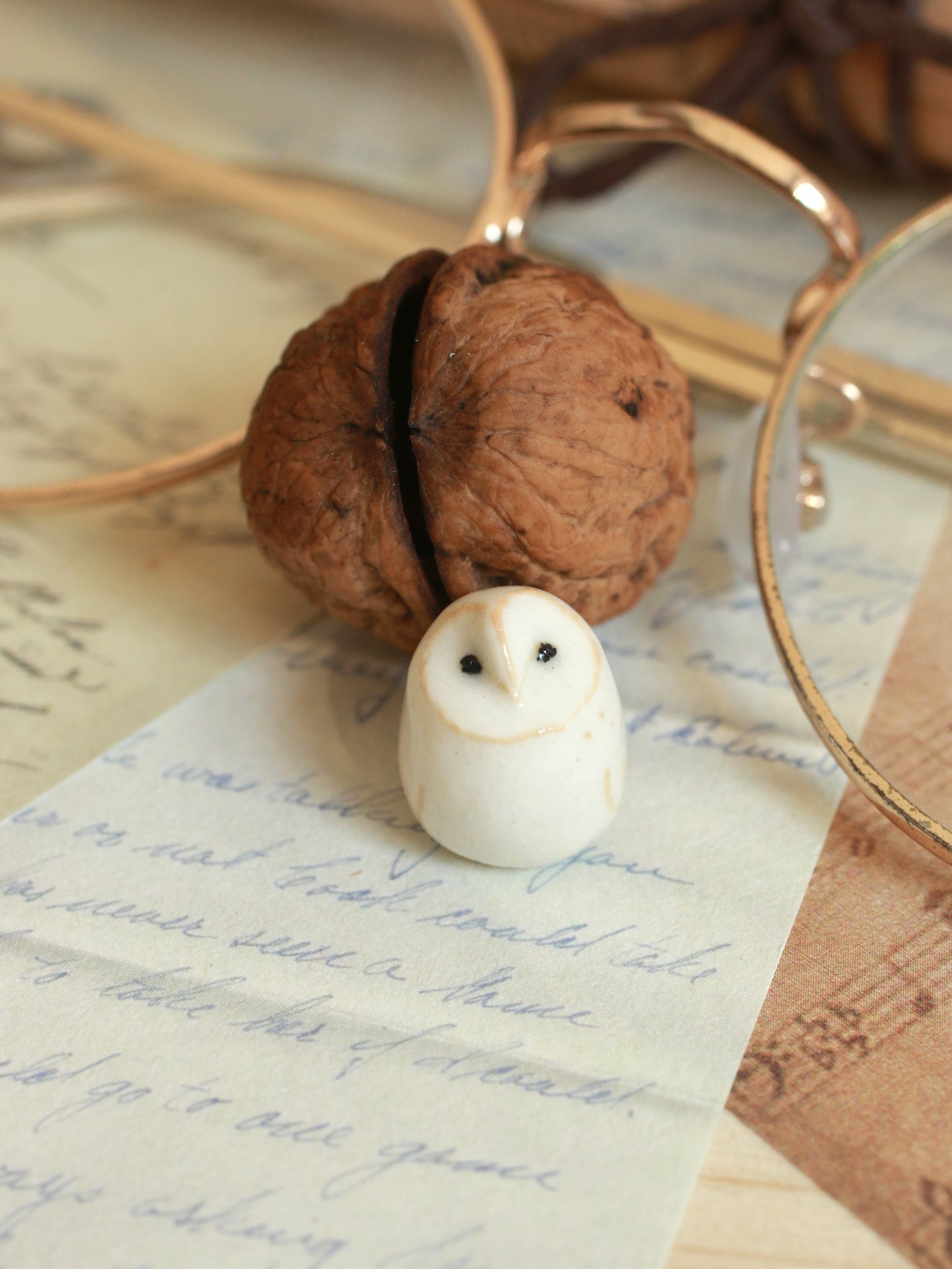 Baby barn owl in a walnut box