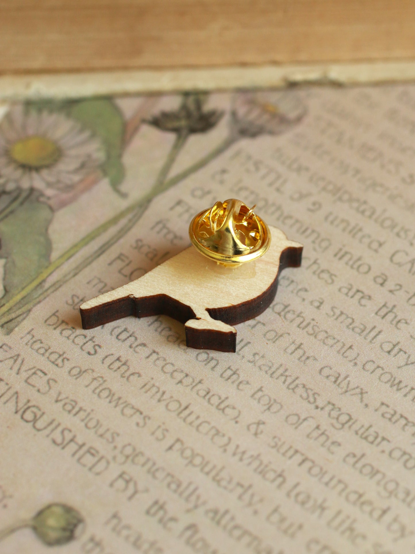 Robin pin - wooden bird pin
