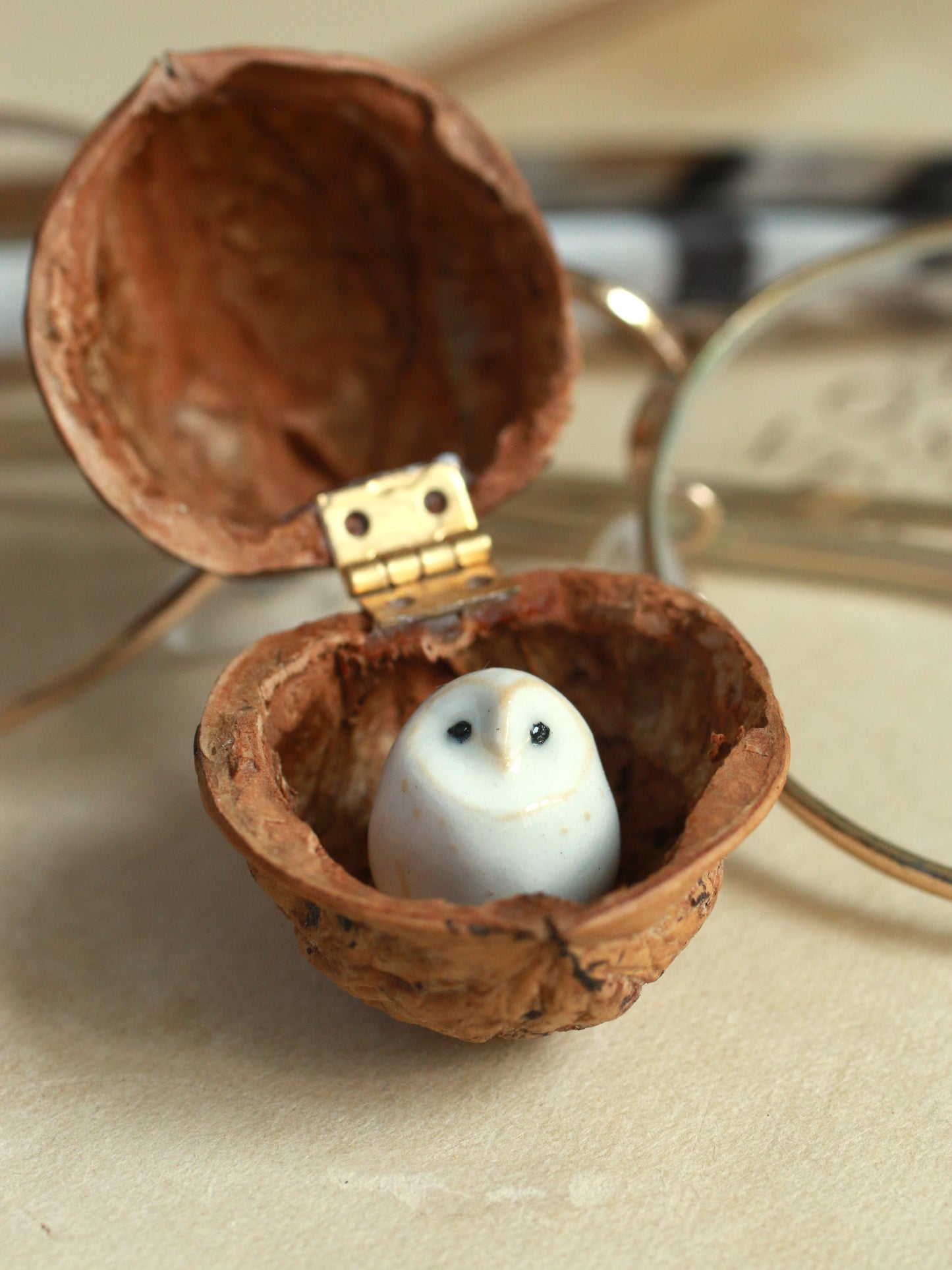 Baby barn owl in a walnut box