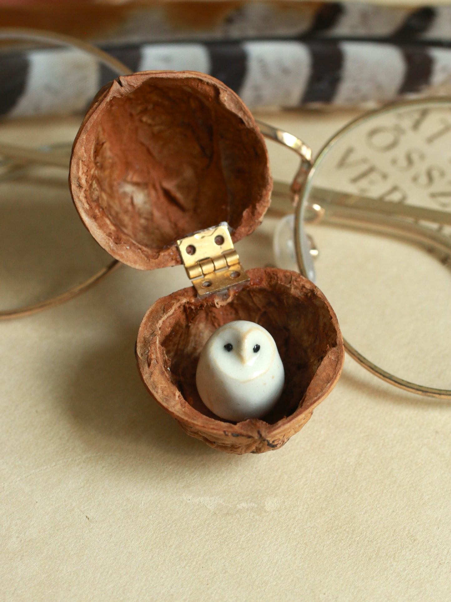 Baby barn owl in a walnut box