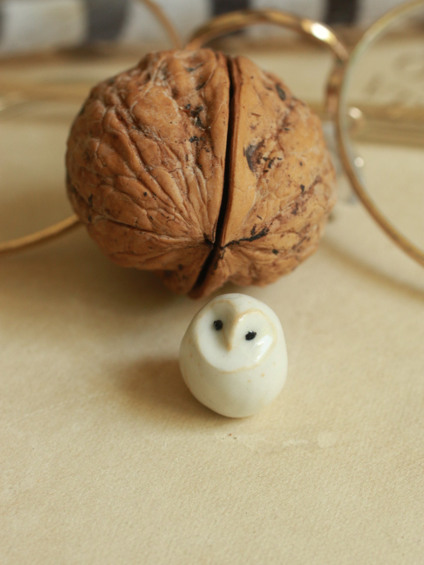 Baby barn owl in a walnut box