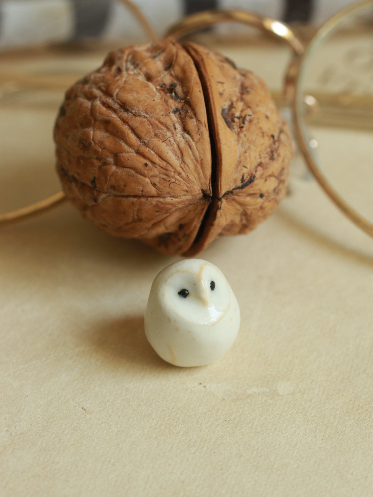 Baby barn owl in a walnut box