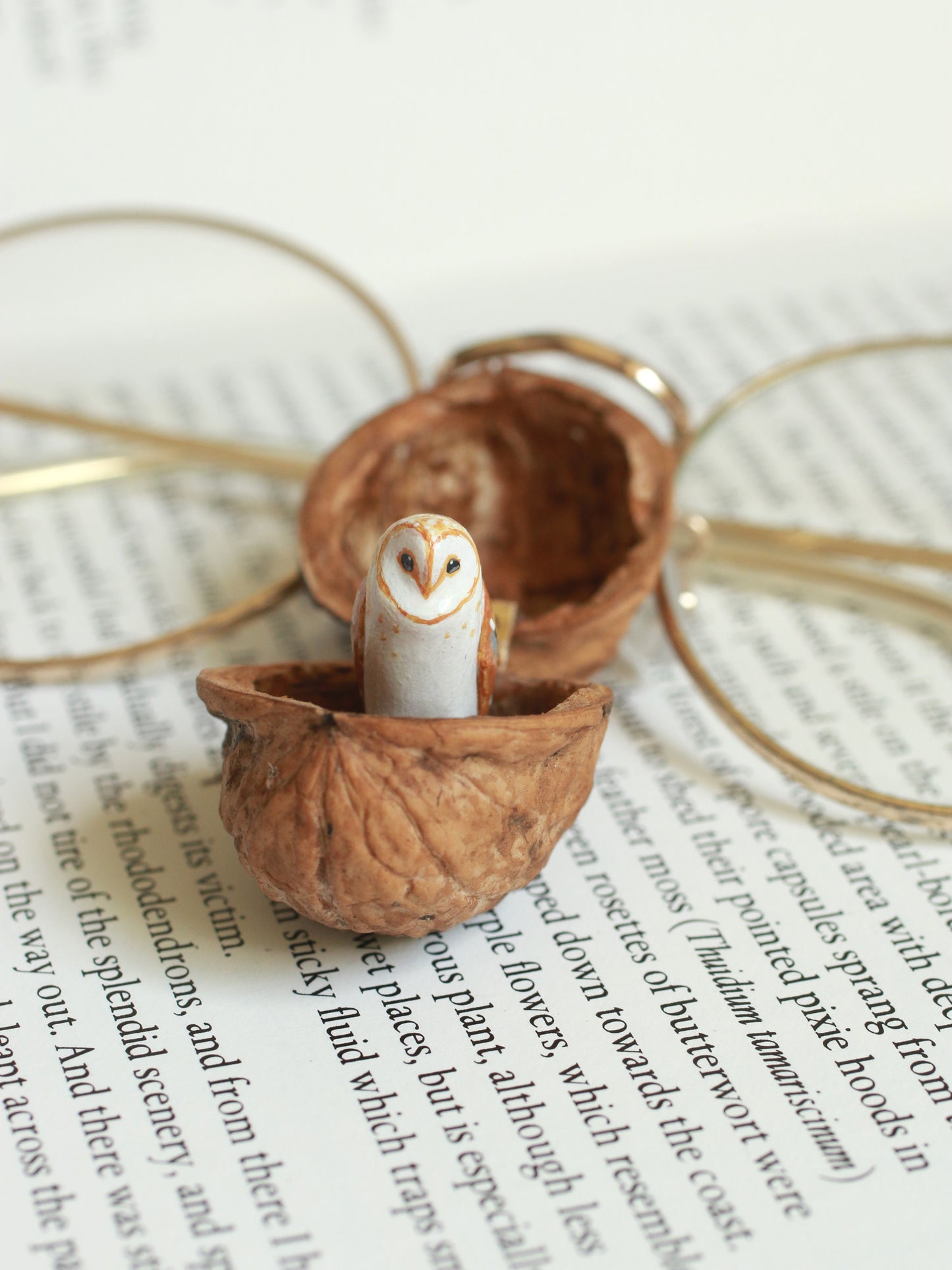Barn owl necklace in a nutshell box