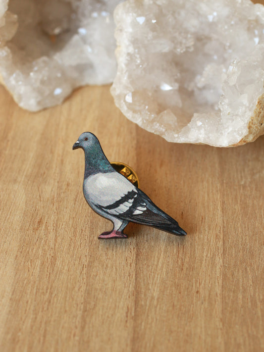 Pigeon pin