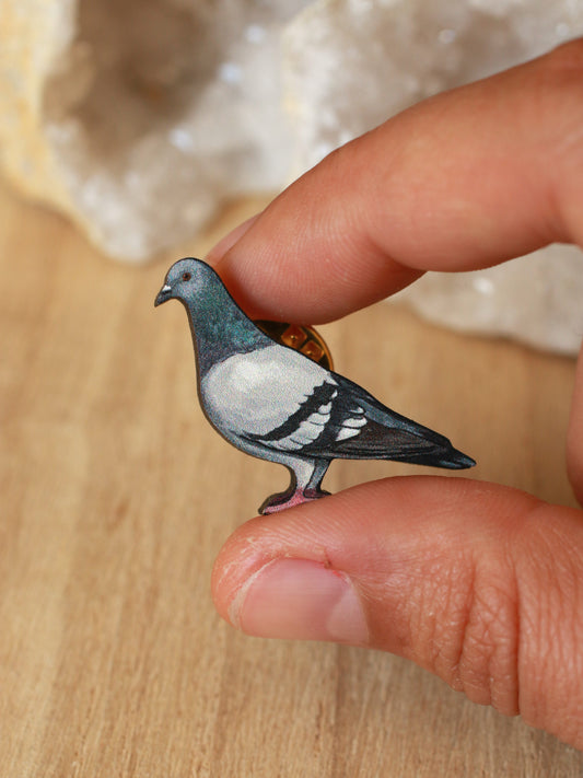Pigeon pin