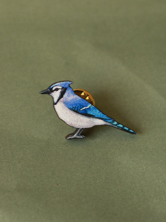Blue jay pin