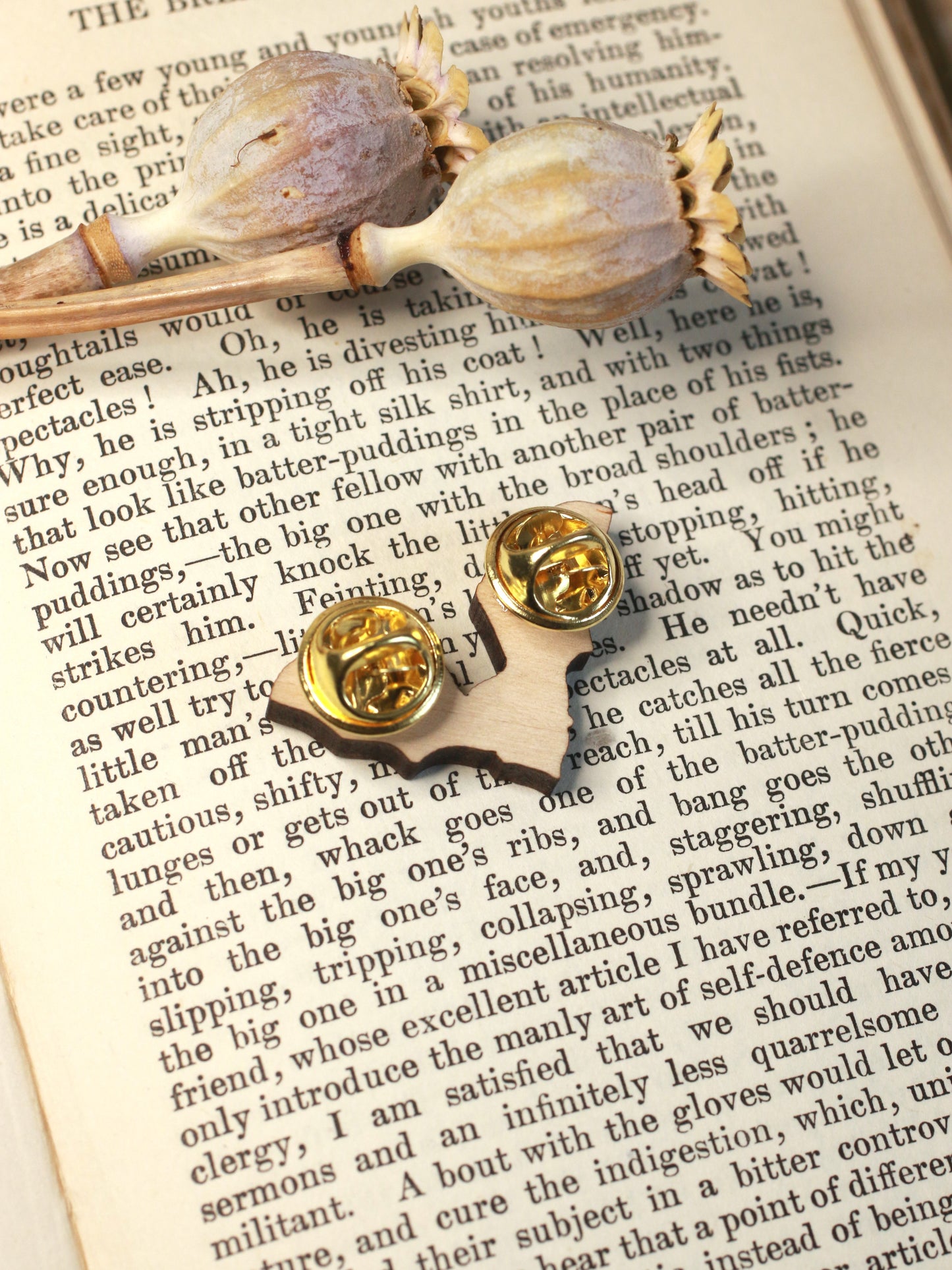 Bat pin - wooden bat brooch