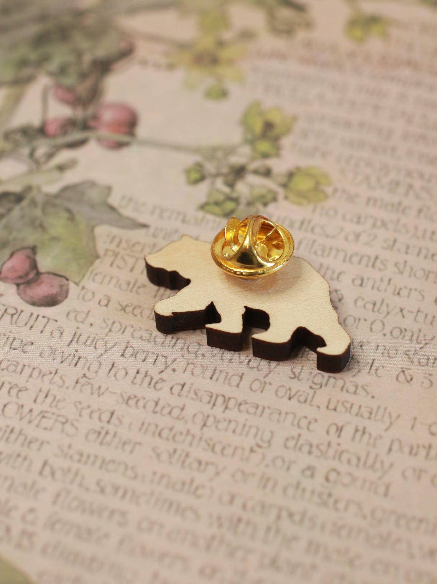 Brown bear pin