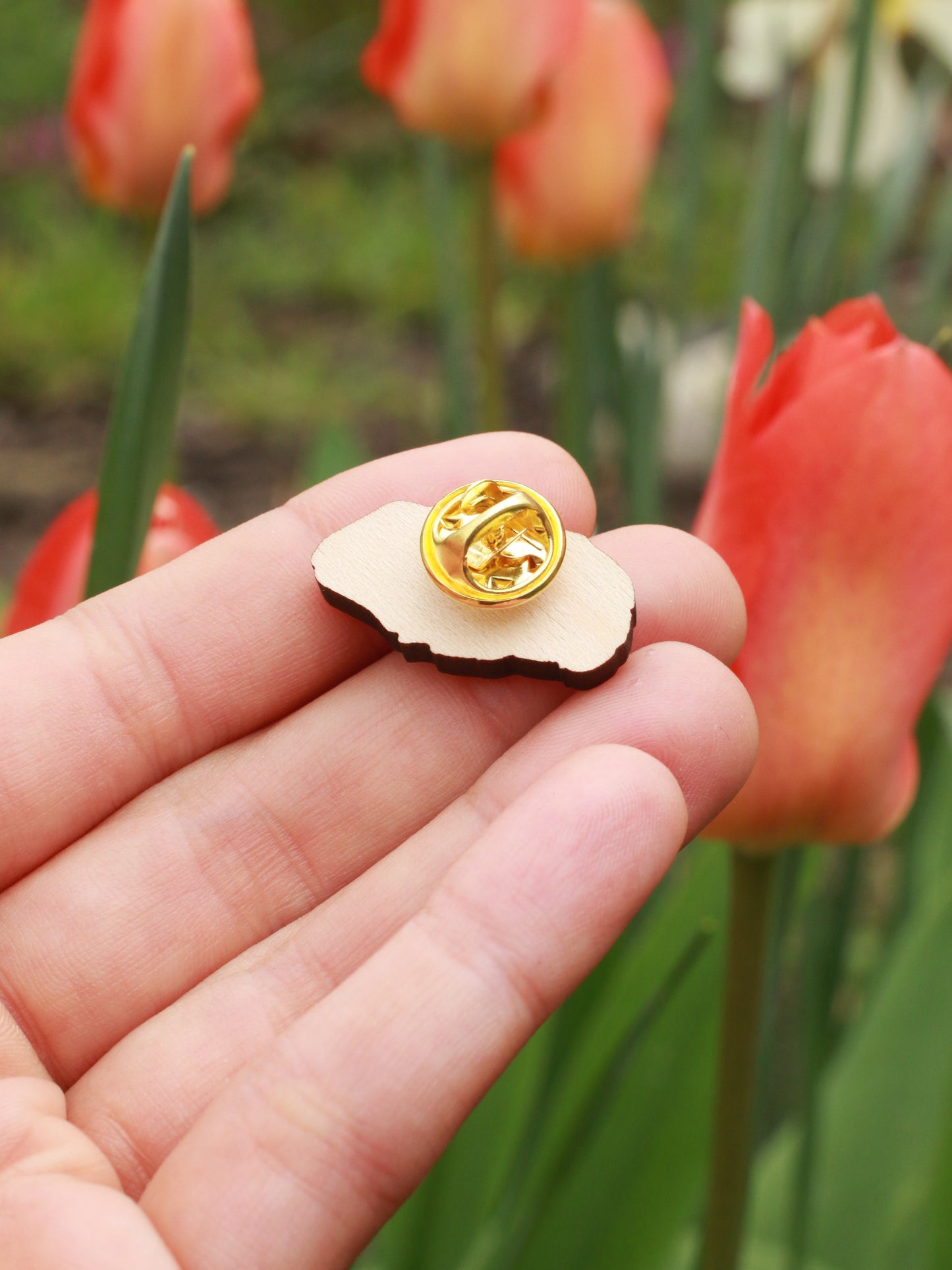 Guinea pig wooden pin