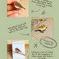 Robin pin - wooden bird brooch