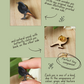 Black redstart pin - wooden bird brooch
