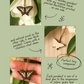 Tiger swallowtail butterfly necklace