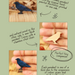 Crow - wooden bird necklace