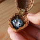 Sleeping grey tabby cat necklace in a walnut box