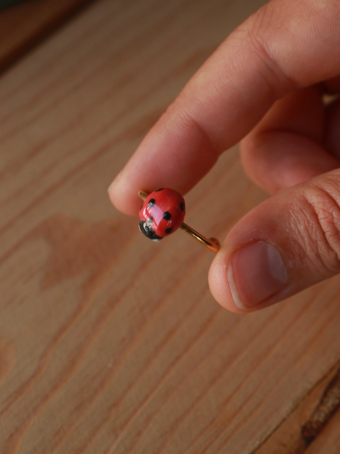 Ladybug ring