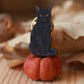 Black cat pin