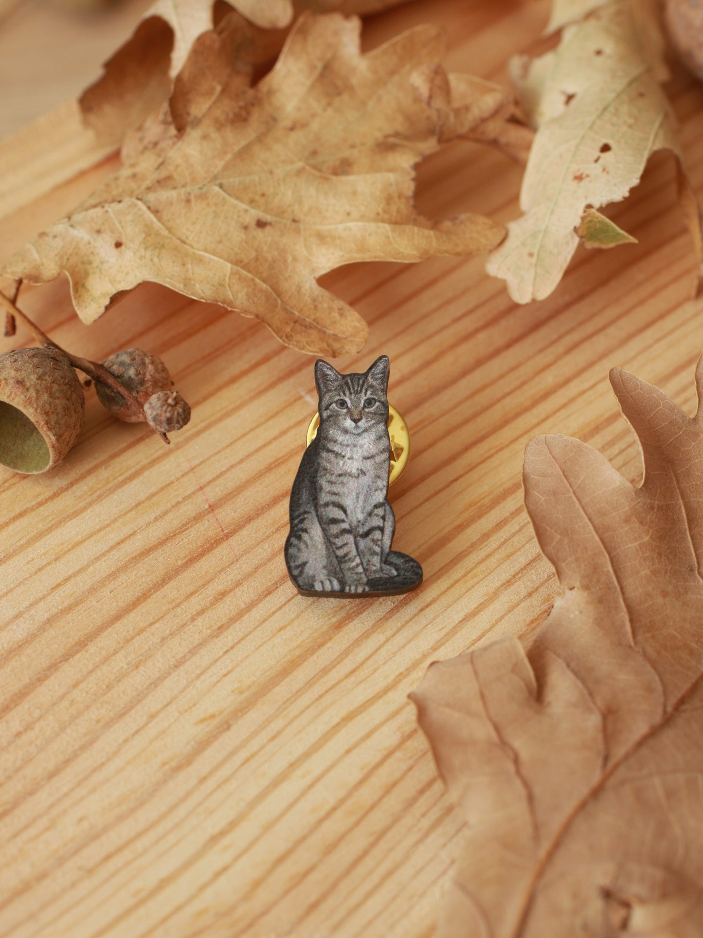 Tabby cat pin