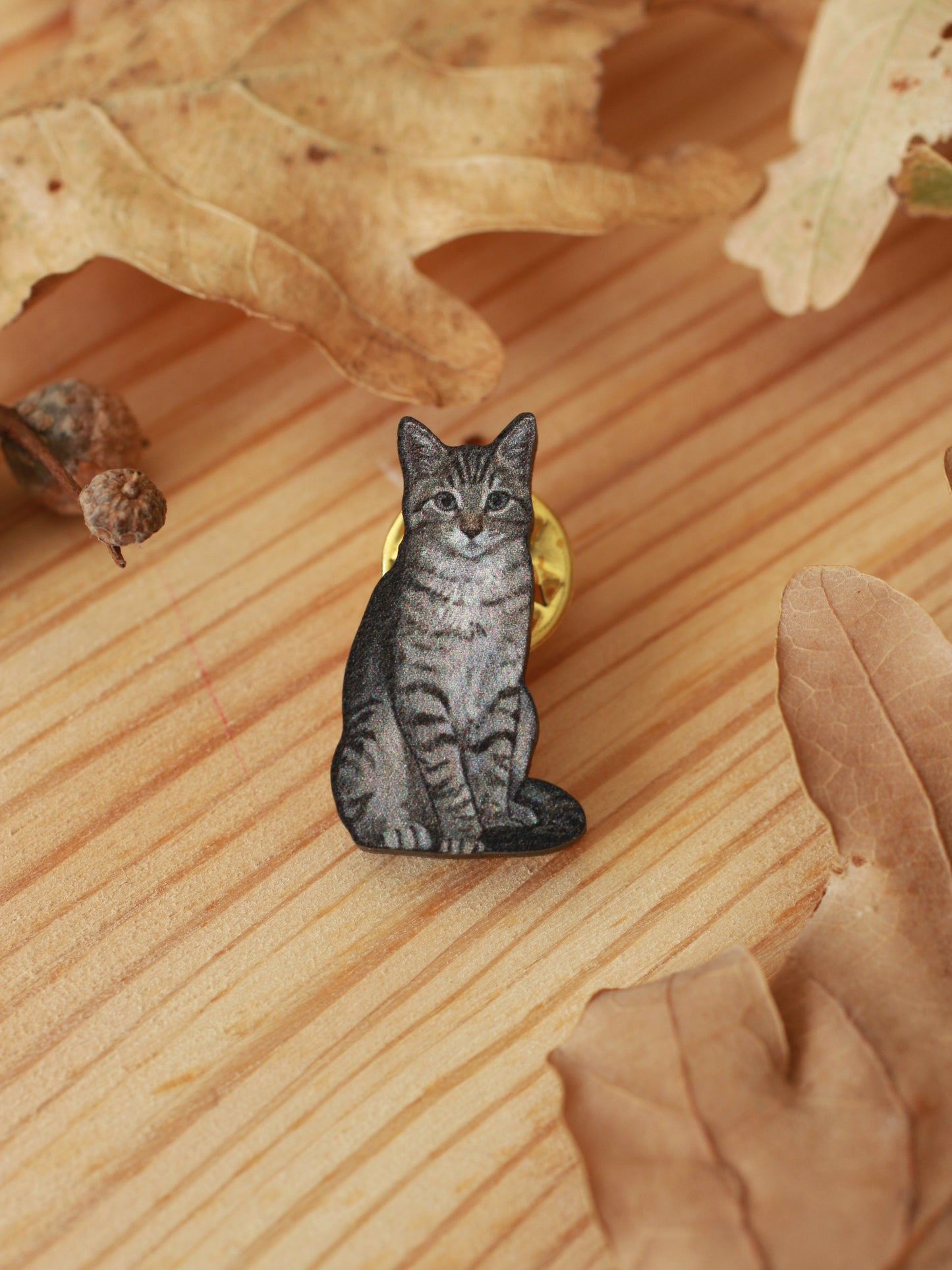 Tabby cat pin