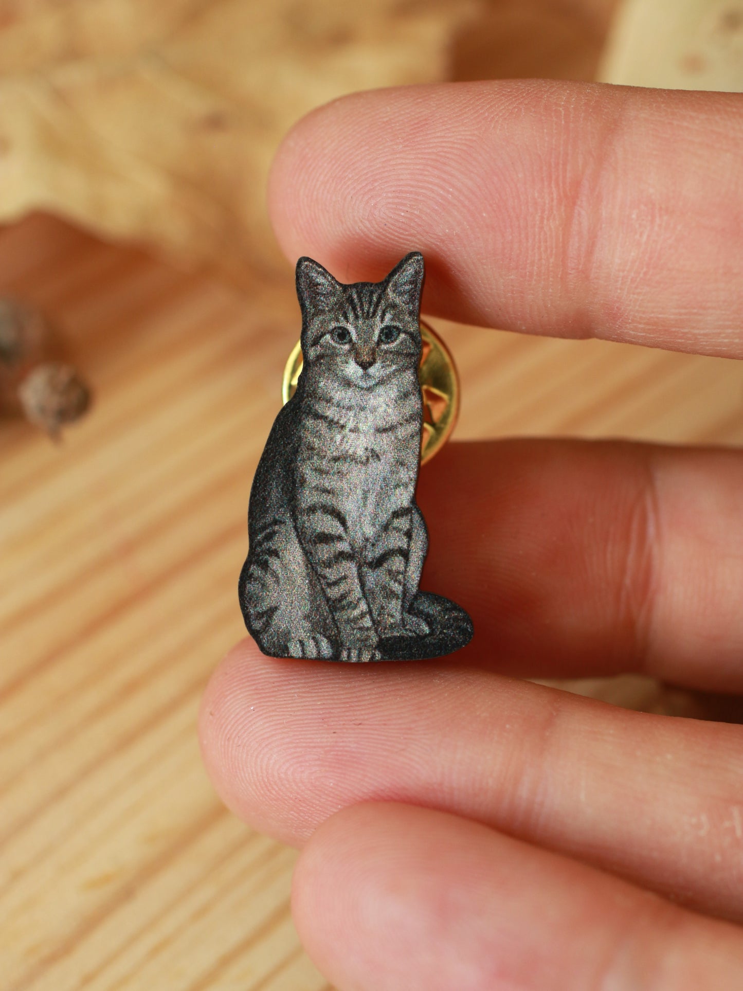 Tabby cat pin