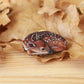 Fawn pin - wooden deer brooch