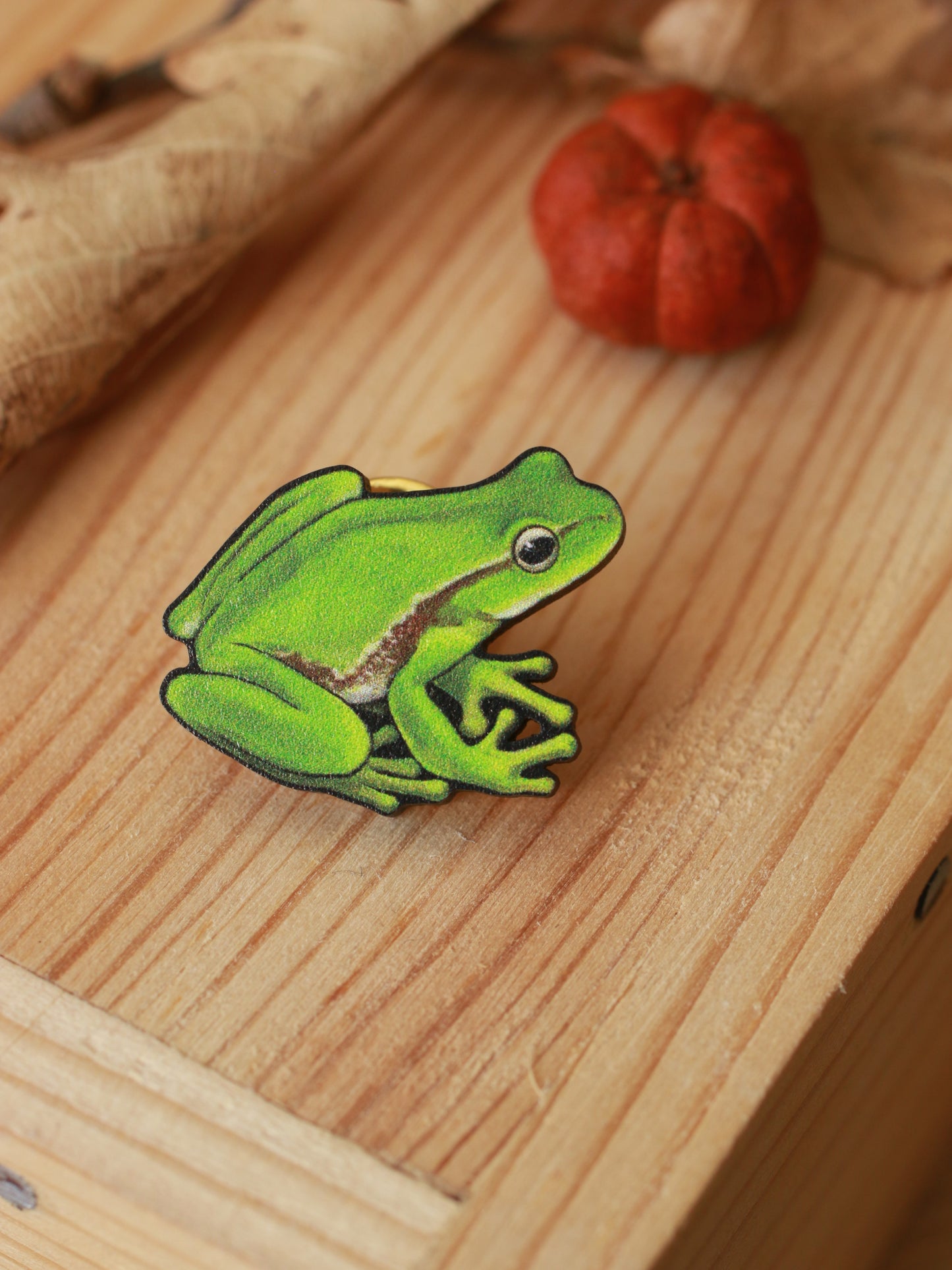 Tree Frog pin - wooden frog brooch