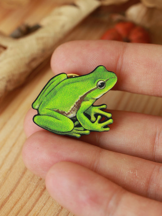 Tree Frog pin - wooden frog brooch