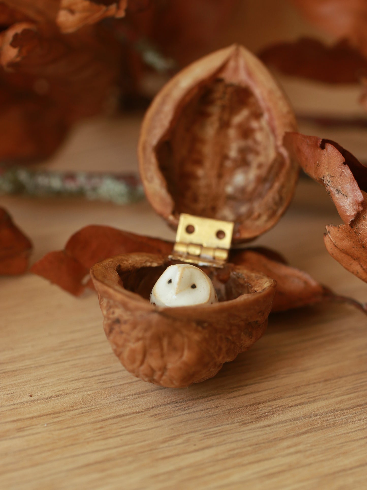 Baby barn owl figure in a walnut box