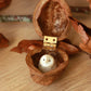 Baby barn owl figure in a walnut box