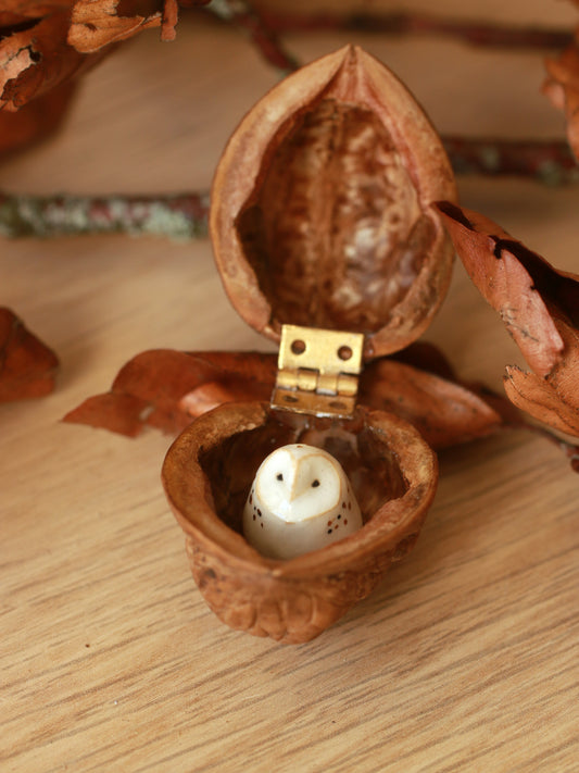 Baby barn owl figure in a walnut box