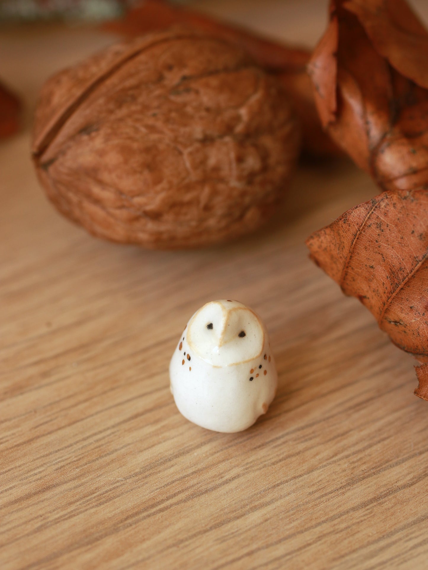 Baby barn owl figure in a walnut box