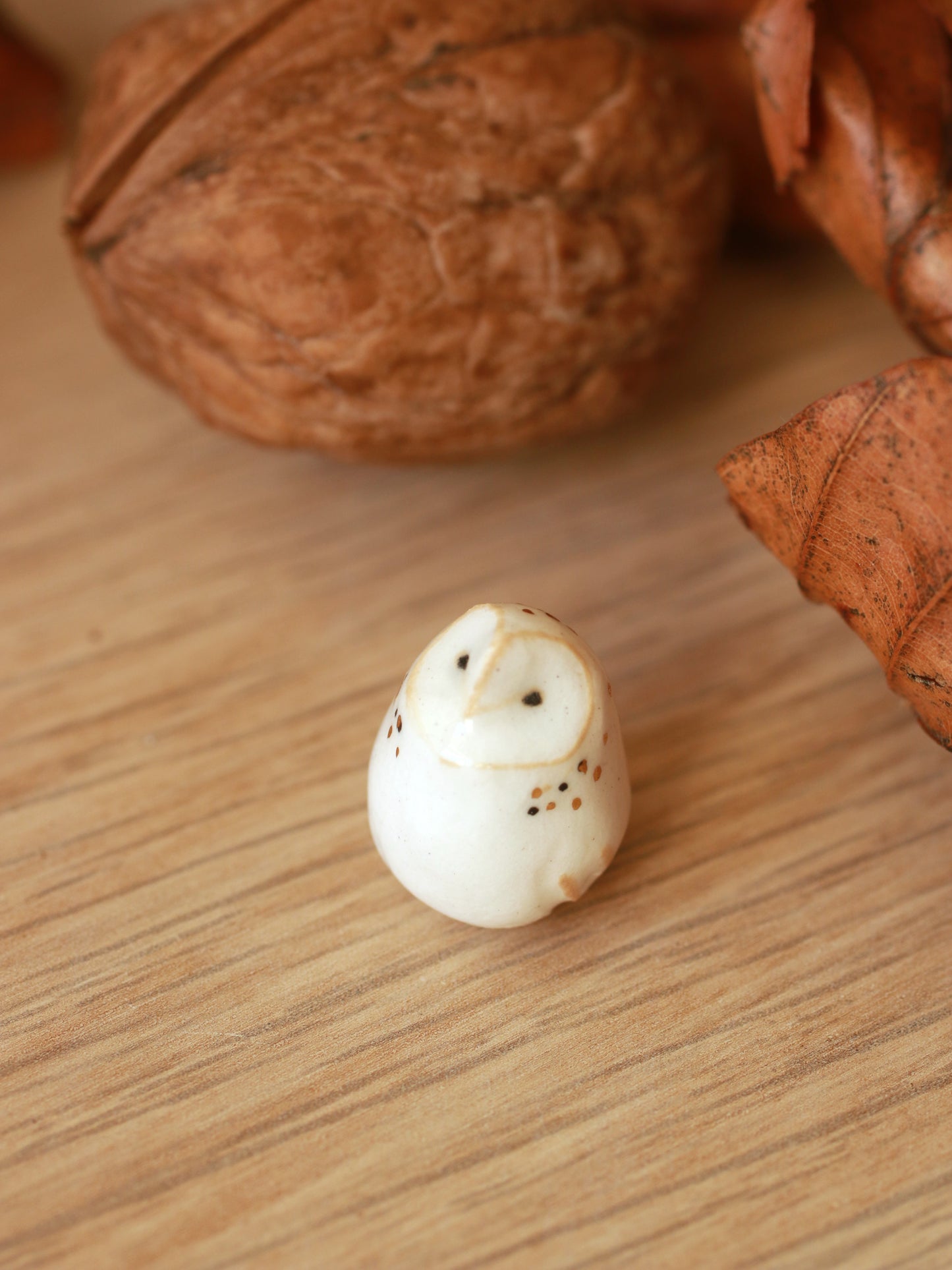 Baby barn owl figure in a walnut box