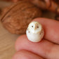 Baby barn owl figure in a walnut box