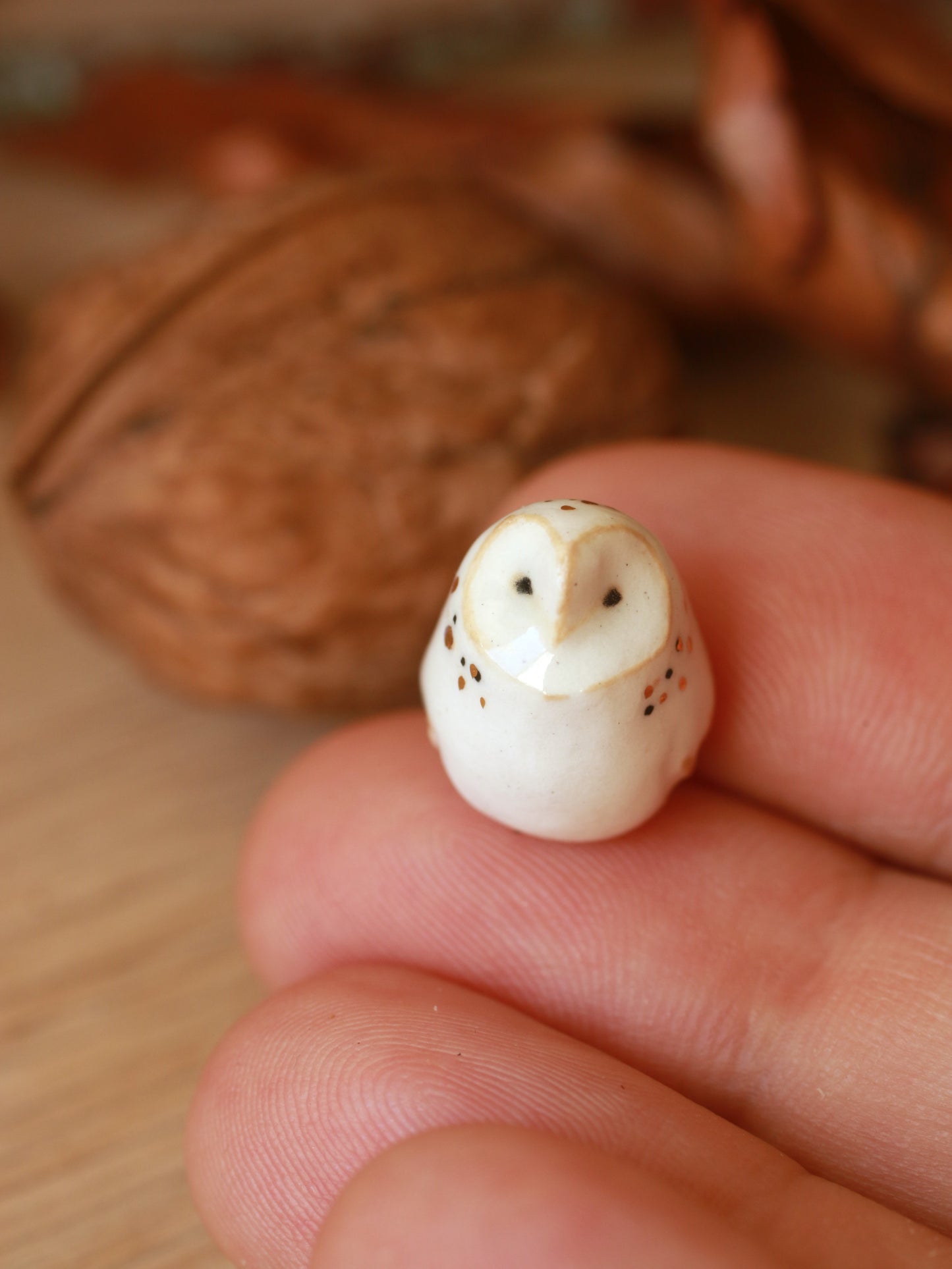 Baby barn owl figure in a walnut box