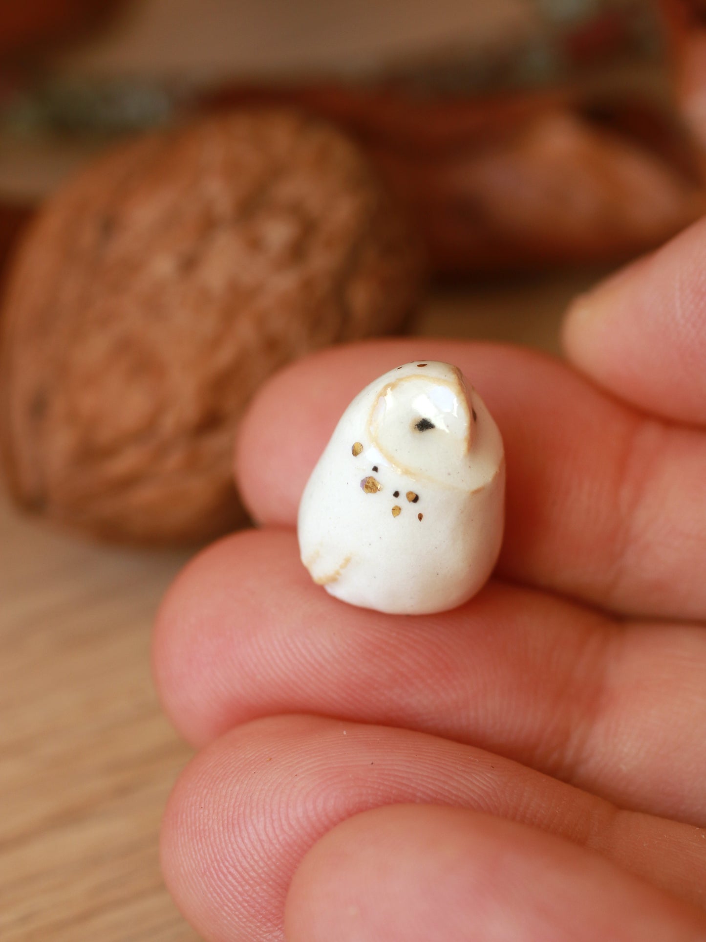 Baby barn owl figure in a walnut box