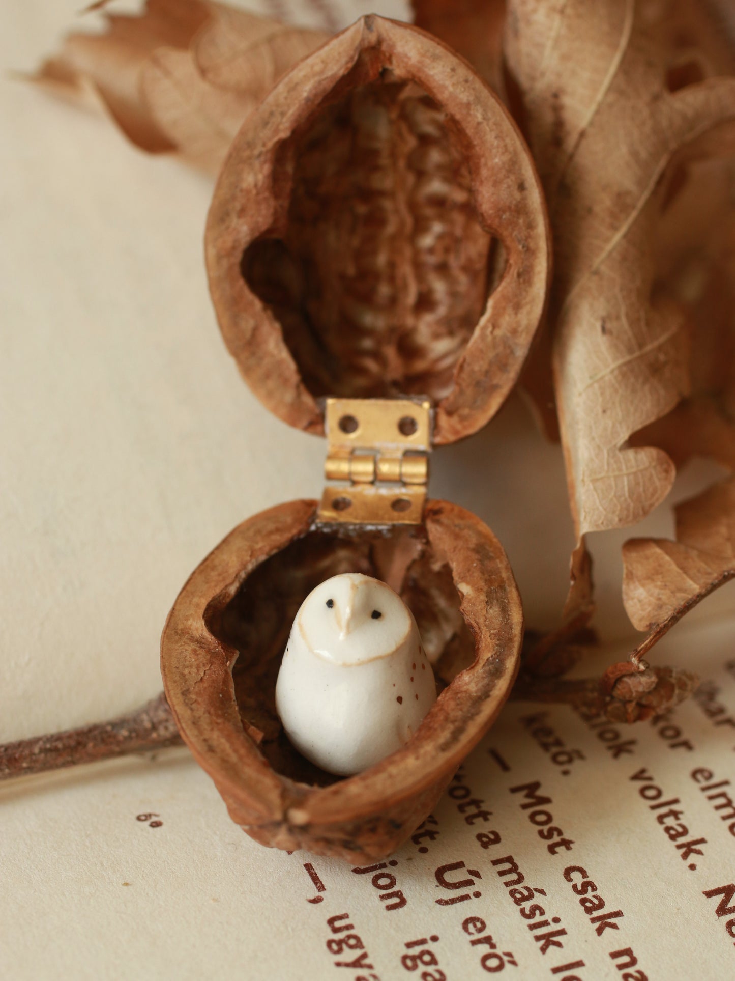 Baby barn owl figure in a walnut box