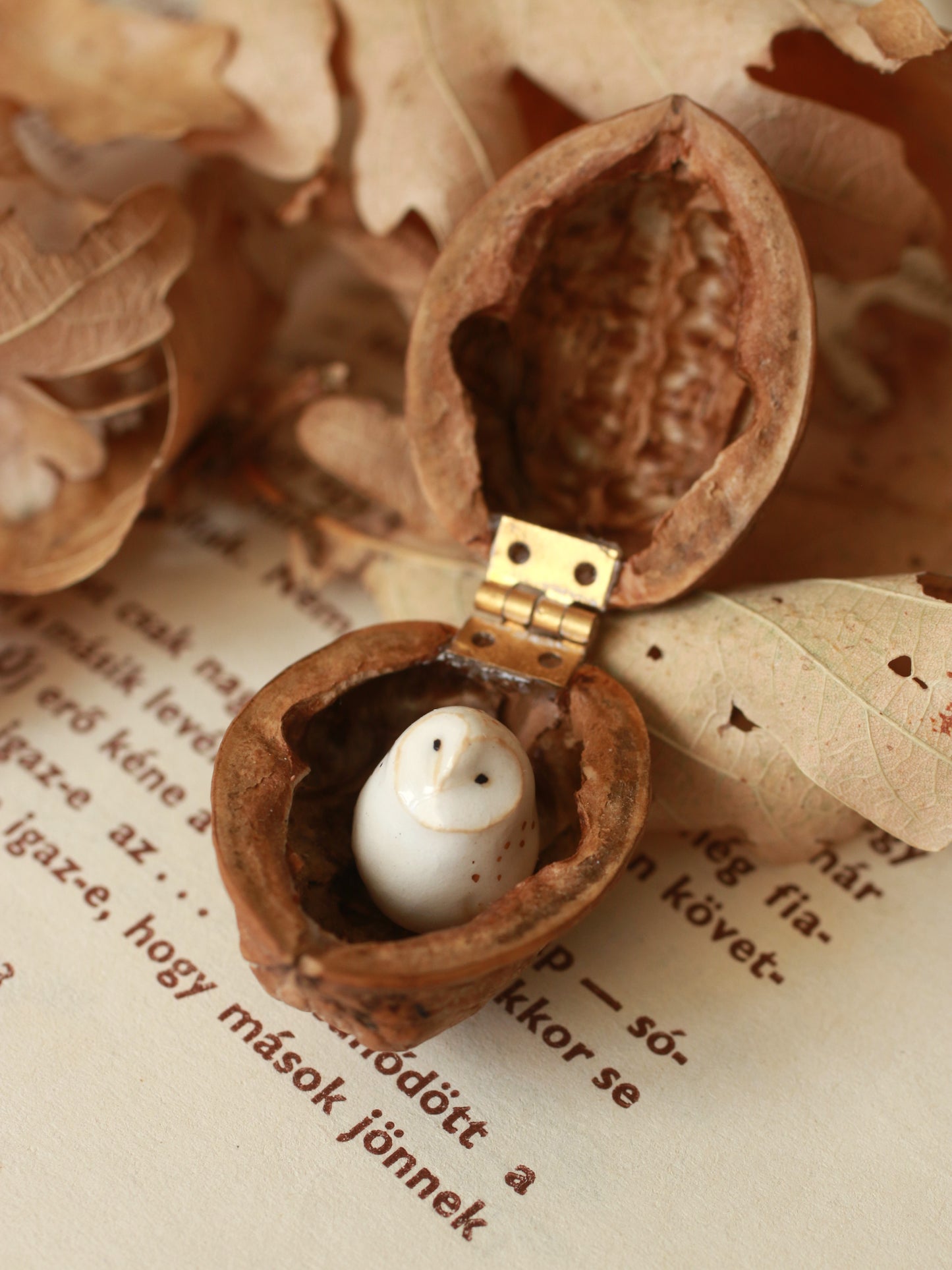 Baby barn owl figure in a walnut box