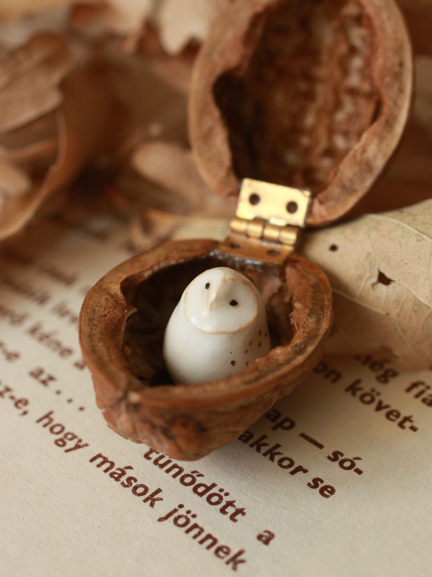 Baby barn owl figure in a walnut box