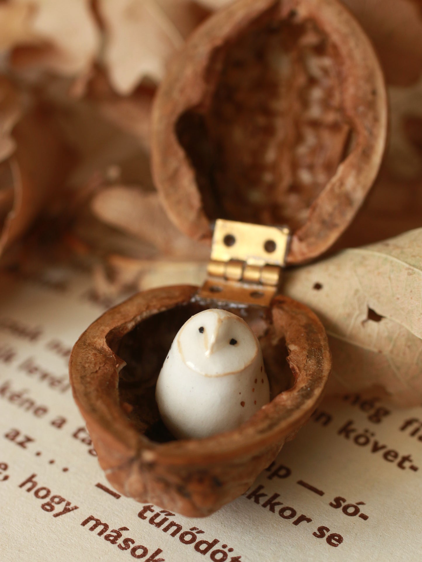 Baby barn owl figure in a walnut box