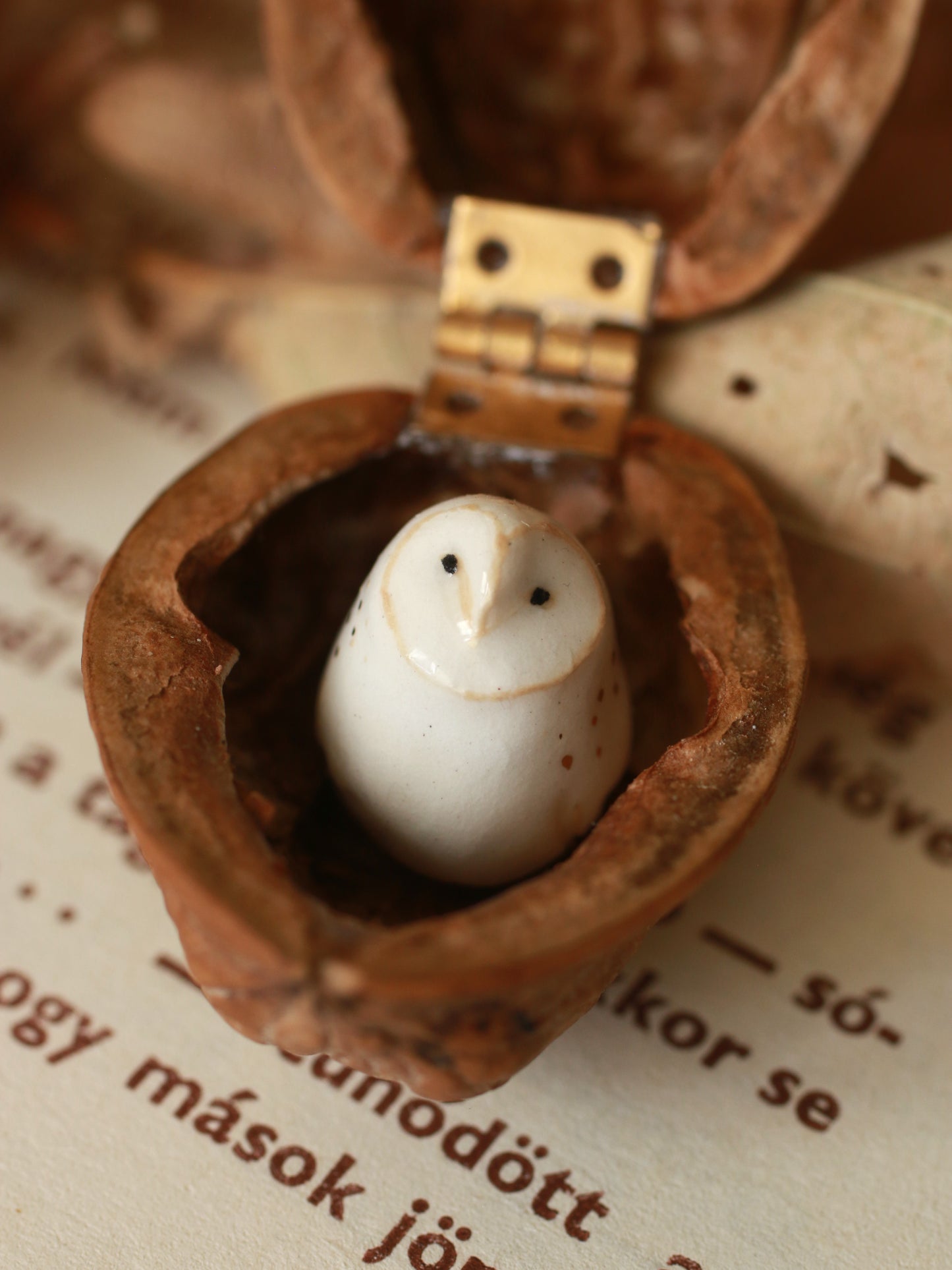 Baby barn owl figure in a walnut box