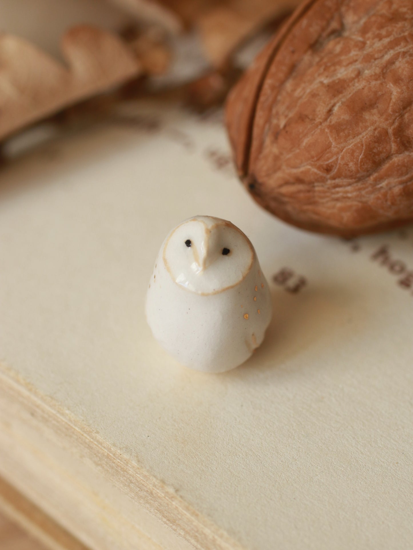 Baby barn owl figure in a walnut box