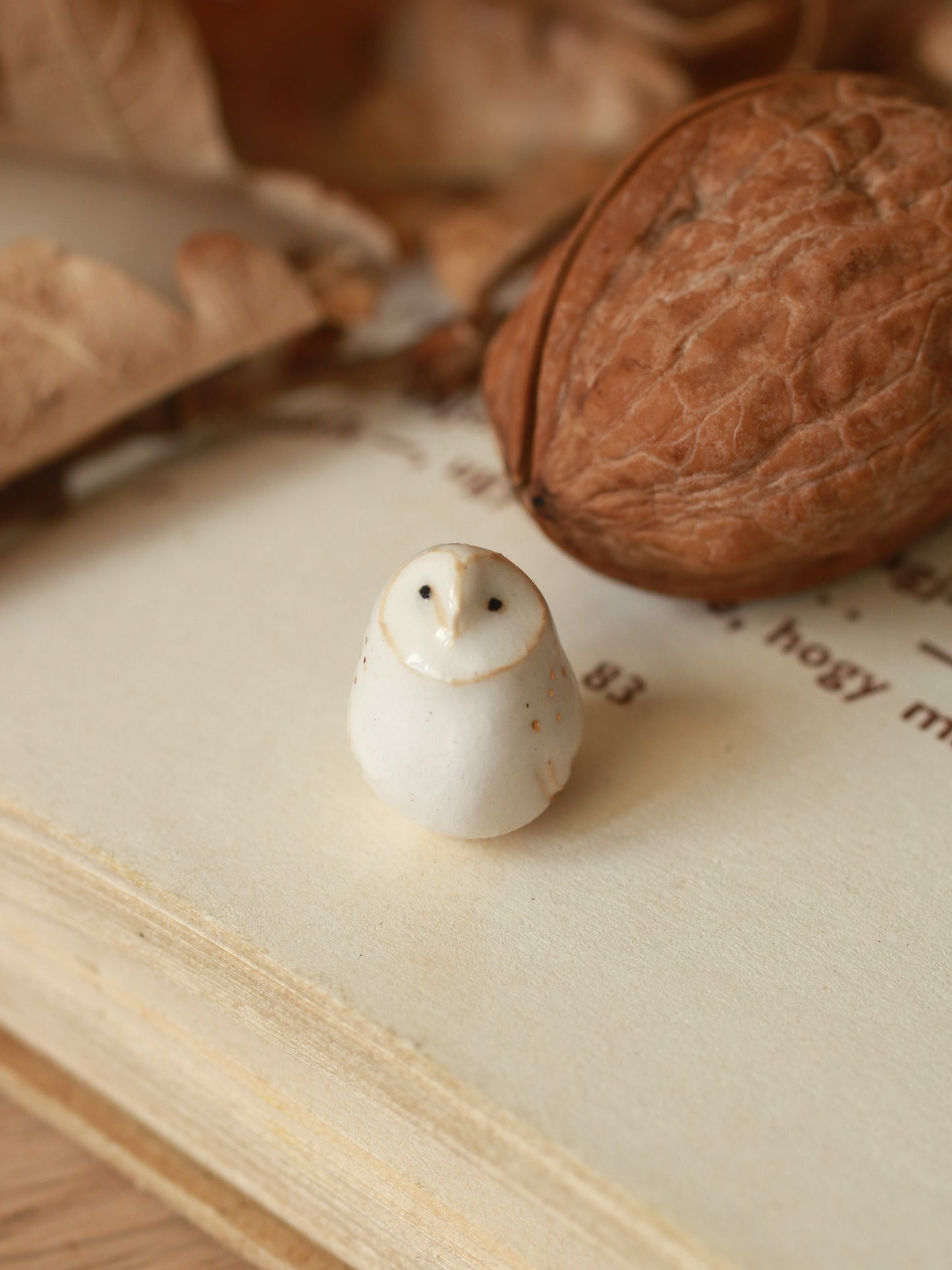 Baby barn owl figure in a walnut box