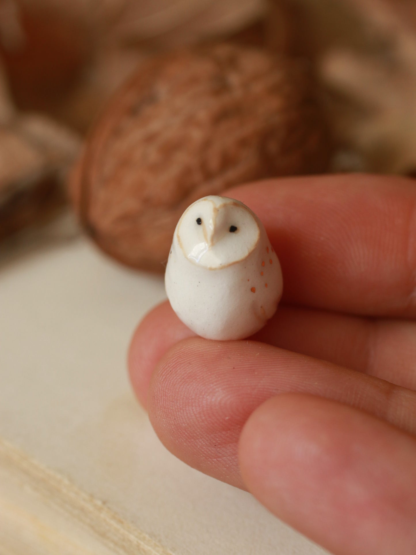 Baby barn owl figure in a walnut box