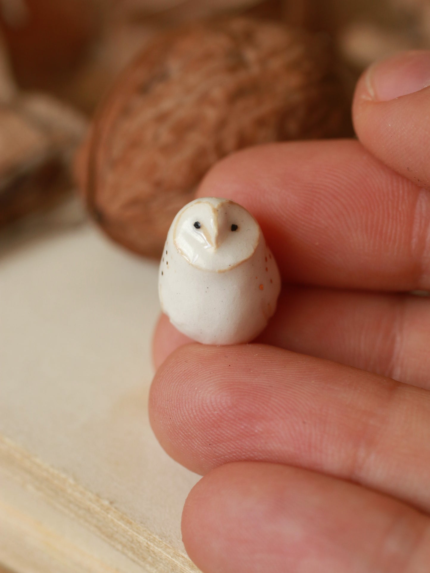 Baby barn owl figure in a walnut box