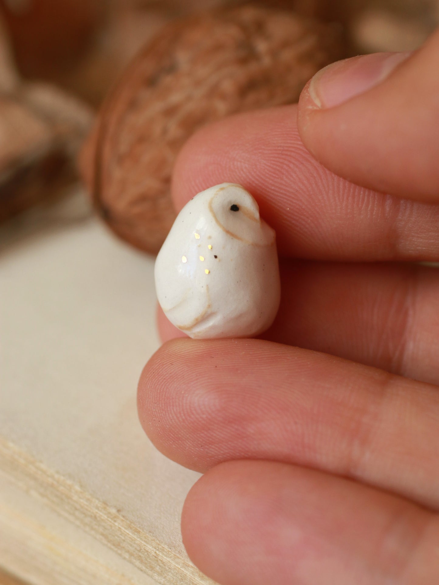 Baby barn owl figure in a walnut box