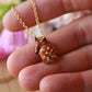 Fawn necklace in a walnut box