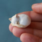 Cat figurine